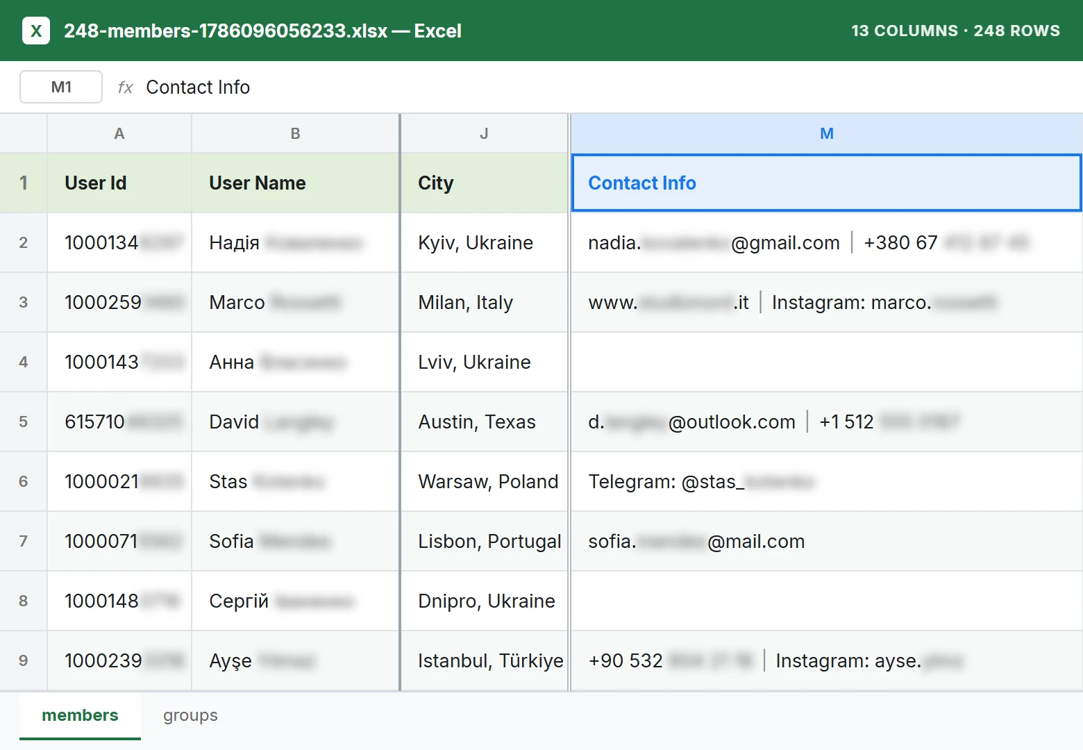 Excel file of Facebook group members with a Contact Info column: email, phone, Telegram, Instagram