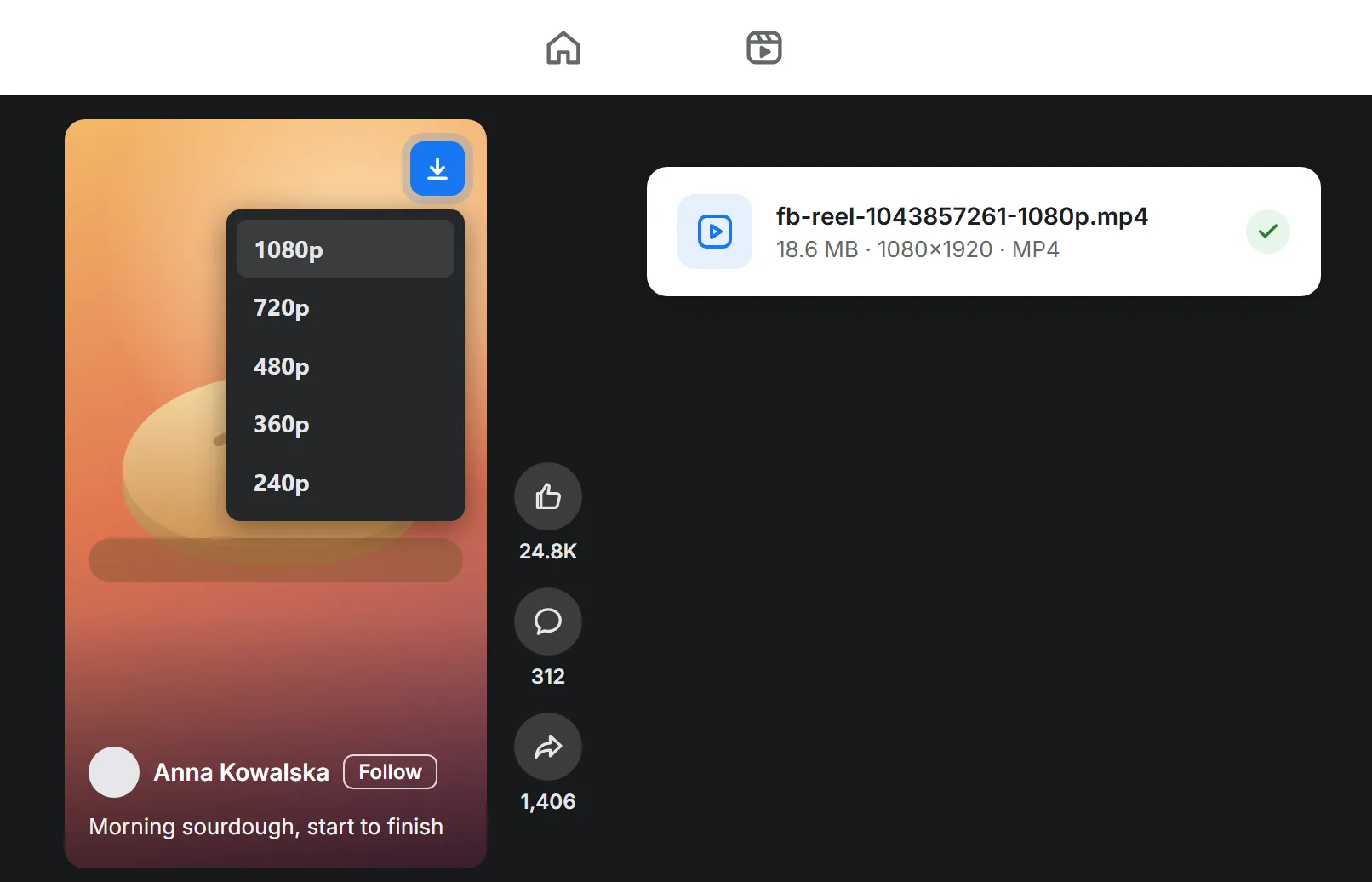 Quality menu of the FB Extractor Reels downloader on a Facebook reel